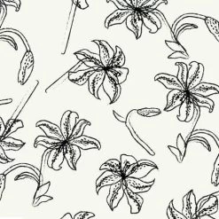 Flower Sketches (Stof) - Maple Cake-My Store -My Fabric Store 4501 923 97ffa112 bc4d 4810 a79b 3242f9aacedc