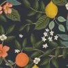Bramble Canvas - Rifle Paper Co. (Cotton+Steel) - Citrus Grove Navy-My Store